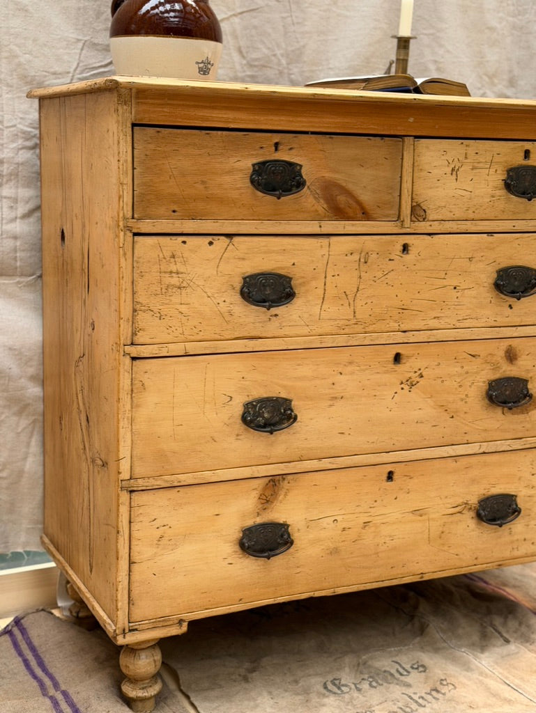 English Victorian Pine chest of drawers