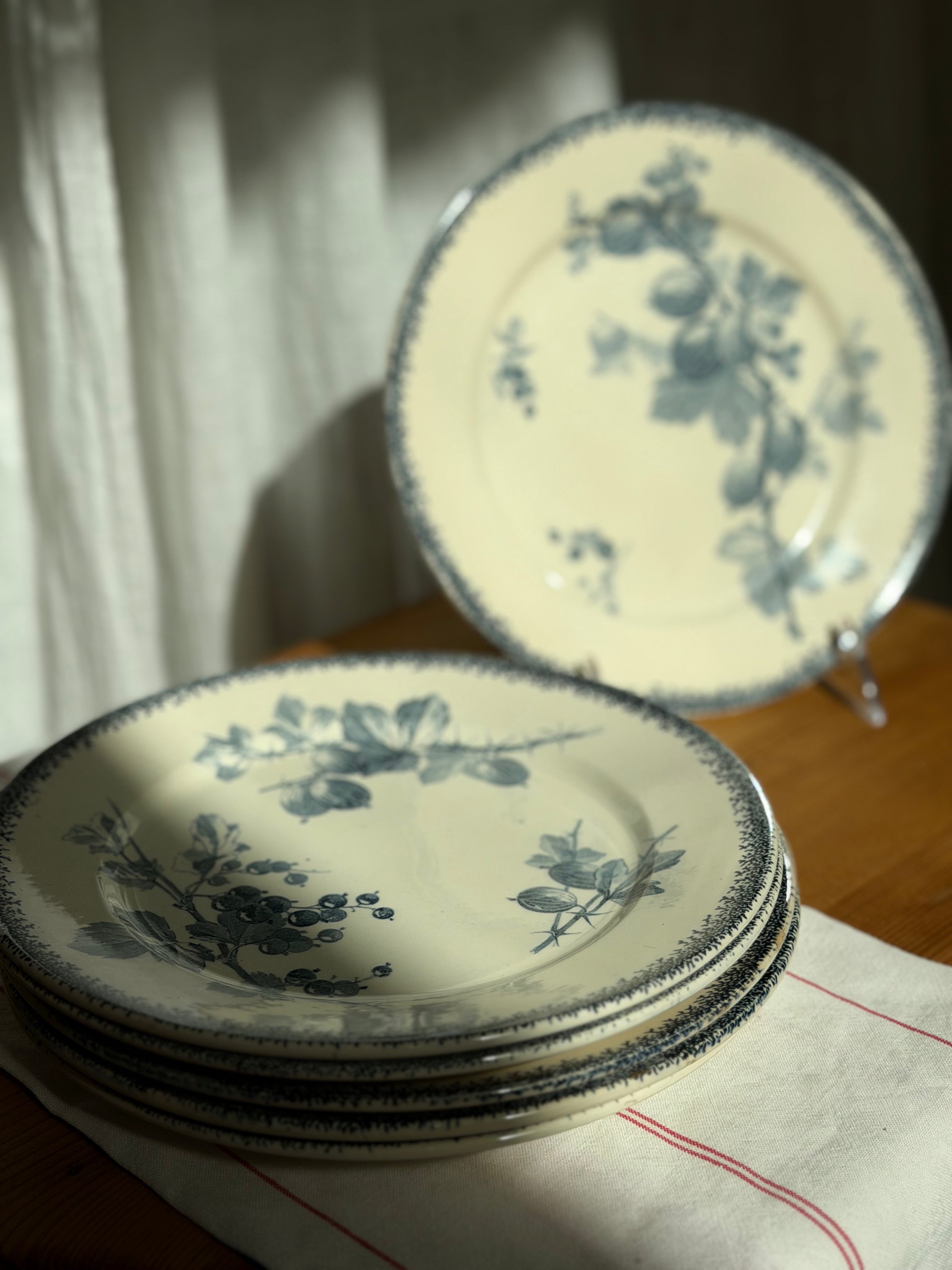 Set of 6 Antique French Sarreguemines "Groseilles" Luncheon Plates