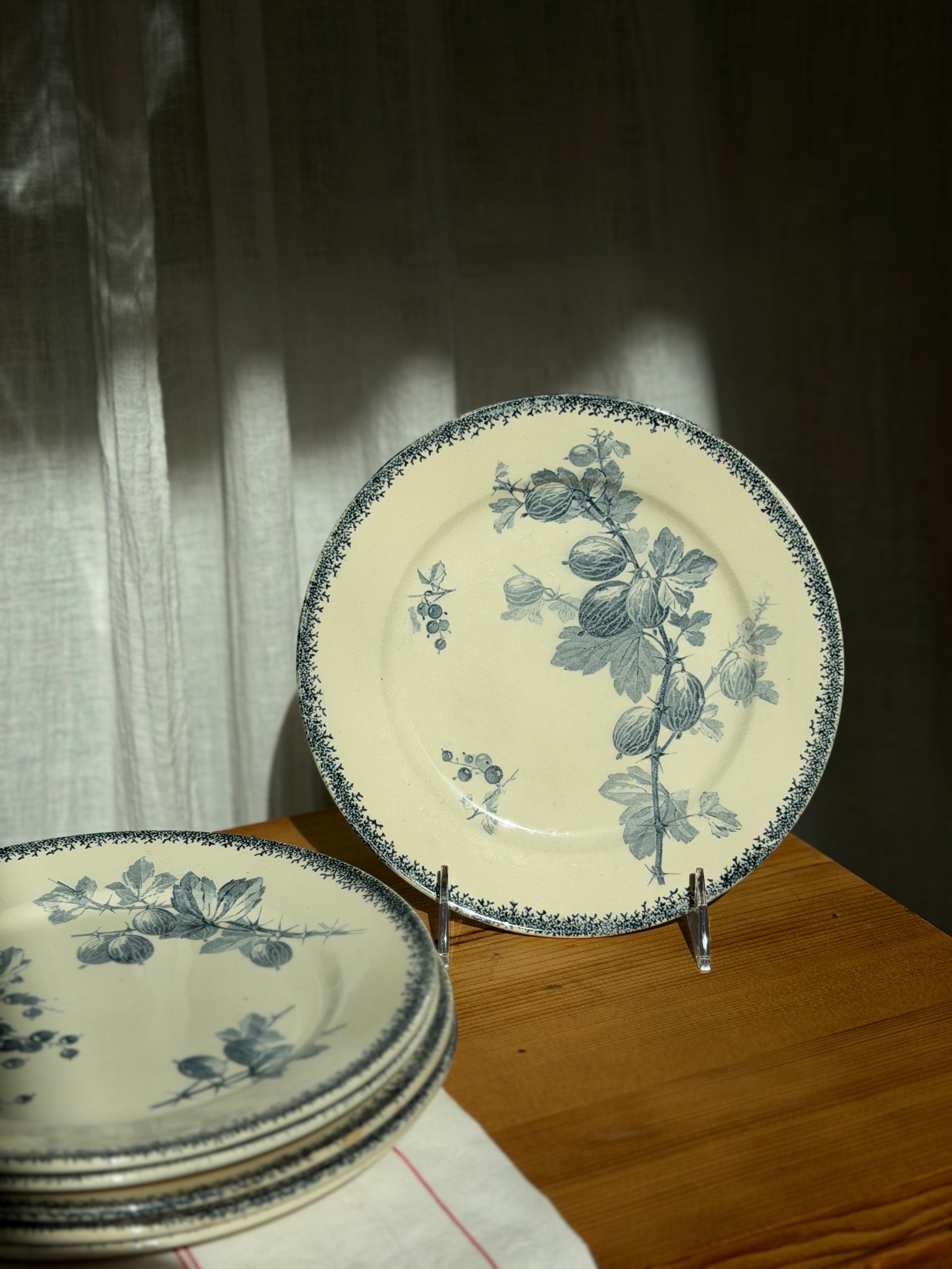 Set of 6 Antique French Sarreguemines "Groseilles" Luncheon Plates